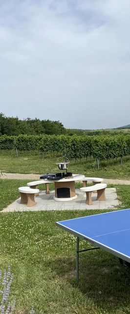 Balatoni Krokodil Vendégház Nemesvita