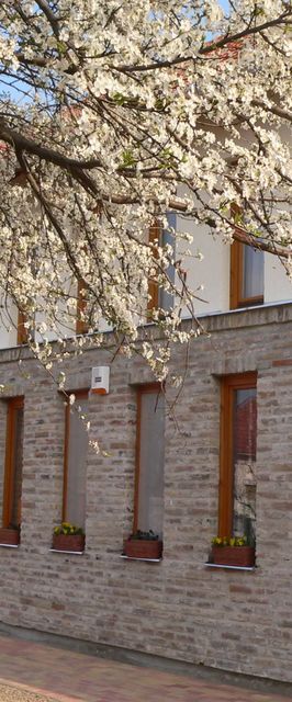 Almafa Apartman Gyula