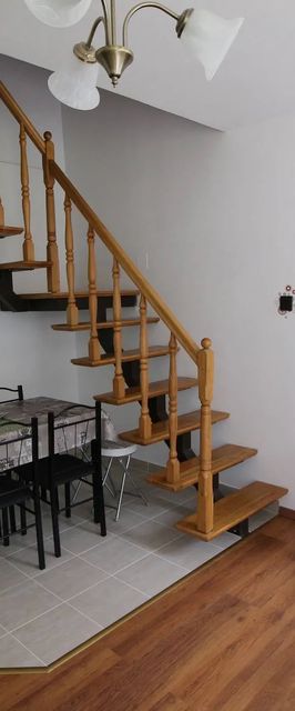 Borka Apartman Gyula