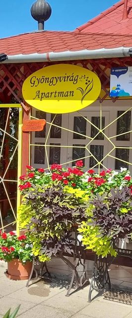 Gyöngyvirág Apartman Romhány