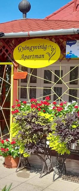 Gyöngyvirág Apartman Romhány