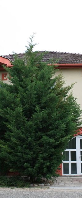 Fontana Vendégház Tát