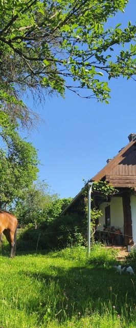Őrségi Fecskefészek Vendégház Őriszentpéter