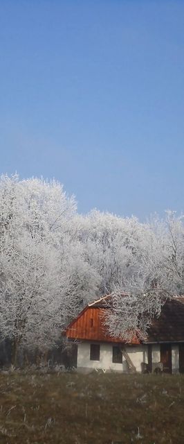Őrségi Fecskefészek Vendégház Őriszentpéter