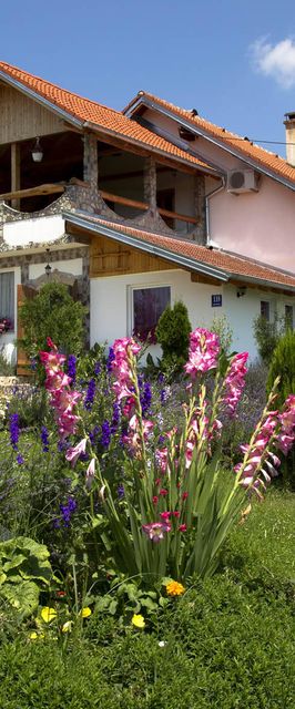 Apartmani Lavanda Rakovica