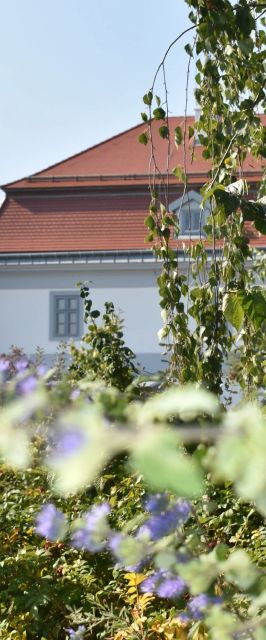  Bagolyvár Fogadó - Újfalusy Márton Vendégház Zirc