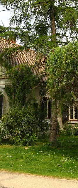 Vidéki Ház Apartman Őrségi Vendégház Kerkafalva