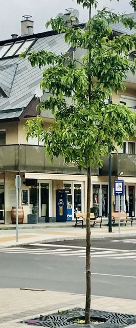 Cafe Relax Apartments Hévíz