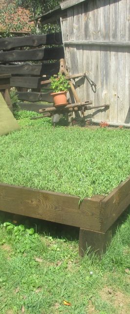 Kéknefelejcs Vendégház Szatta