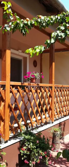 Tiszavirág Apartmanház Szeged