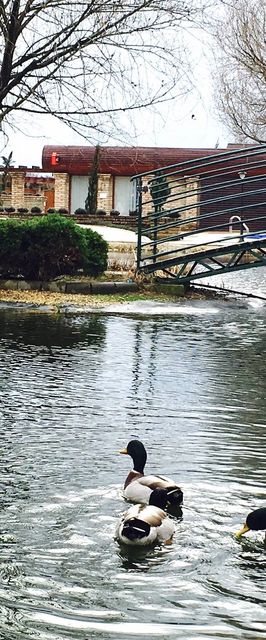 Horváth Apartman Cserkeszőlő