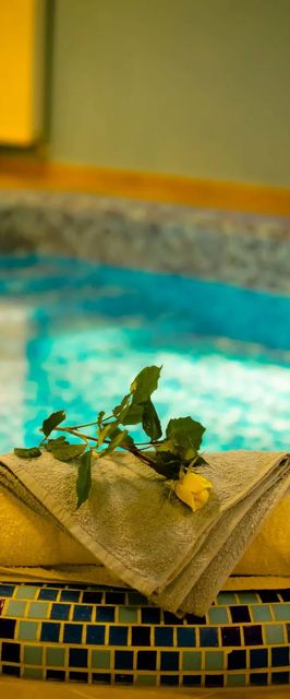 Boni Családi Wellness Hotel Zalakaros