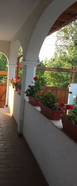 Anemona Vendégház Dunaalmás