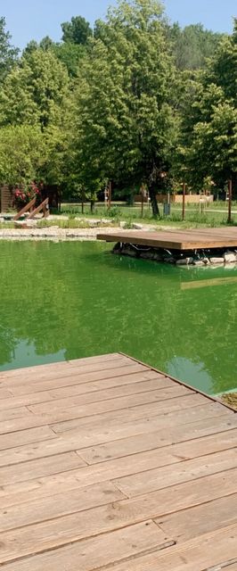 Aranykert Mobilház-Apartmanok Vének