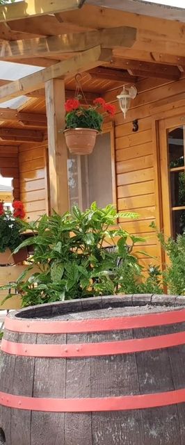 Villan-tó Horgász- és Szabadidőpark Vendégház Csongrád