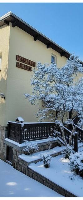 Willa Elżbieta Karpacz