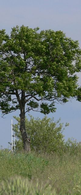 PatakParti Vendégházak Pázmánd