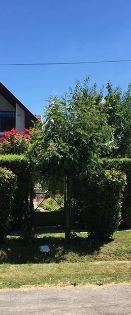 Silye Vendégház Hortobágy