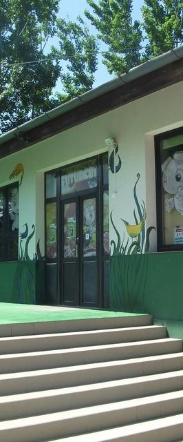 Futurobi Faházai Nyíregyháza Sóstófürdő