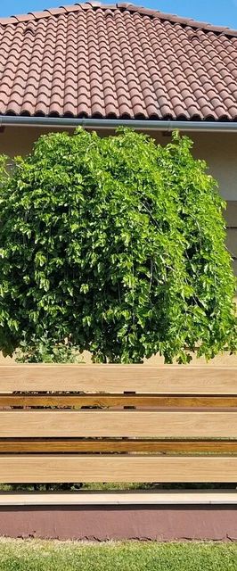 Tamási Nyaralóház Balatonmáriafürdő