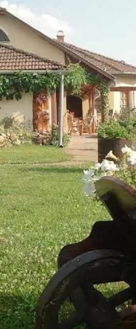 Szőlőlugas Apartman Tiszaszőlős