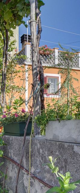 Apartments Tasha Stivan