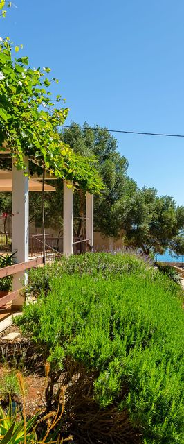 Apartments Nedeljko Gdinj