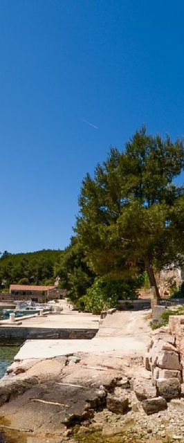 Apartments Ivo Basina