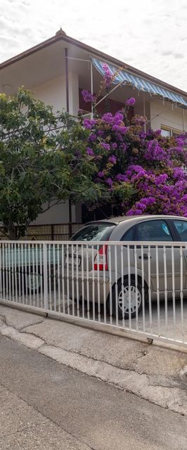 Apartment Frane Vinisce