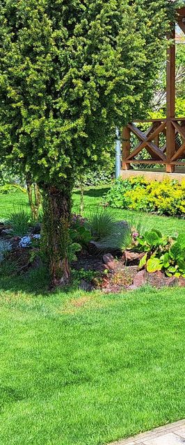 Töreki Plusz Apartman Balatonalmádi