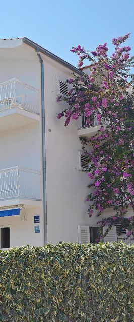 Apartments Šime Srima