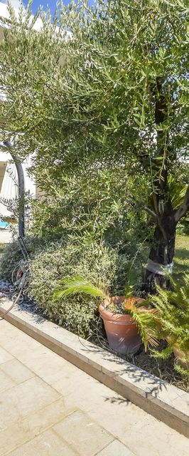 Apartment Marin Rogoznica