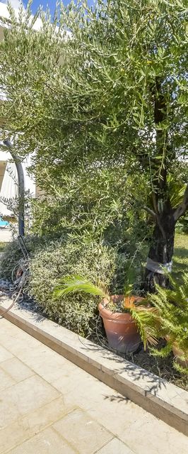 Apartment Marin Rogoznica