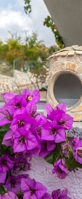 Apartments Mirjana Marina