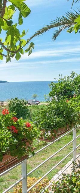 Apartments Petra near beach Pula