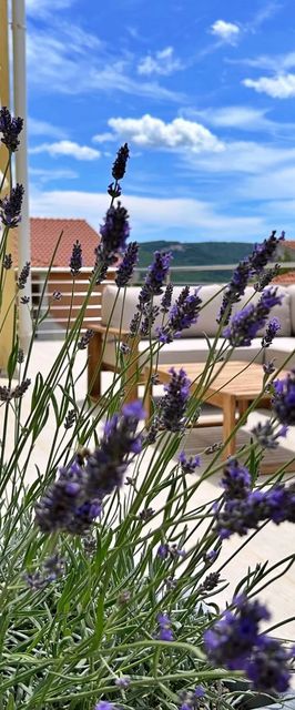 Apartments Pinta de Sol Čižići II