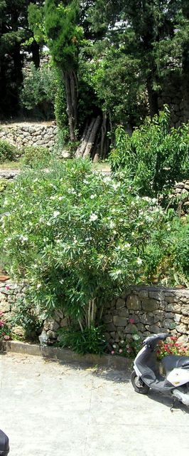 Apartments Iskra Krk