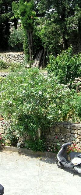 Apartments Iskra Krk