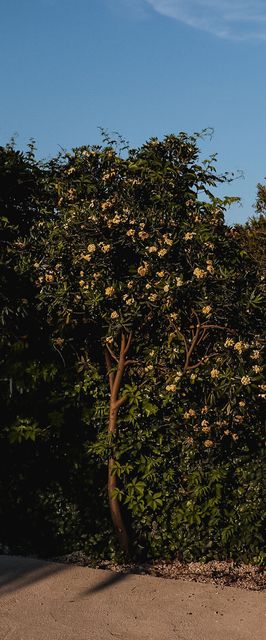 Apartments Prce Orebic