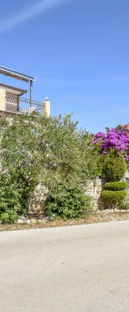 Apartments Branko Razanj