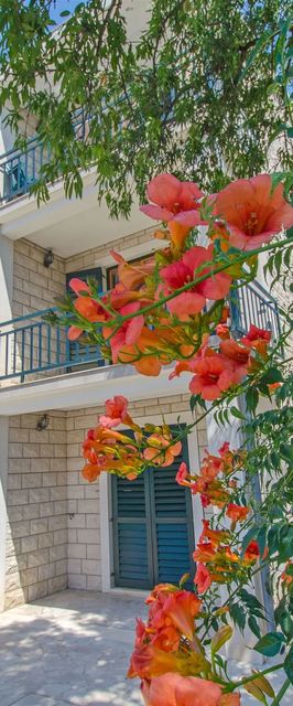 Apartments Spomenka Orebic