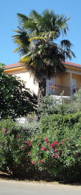 Apartments Kirinčić N. Čižići