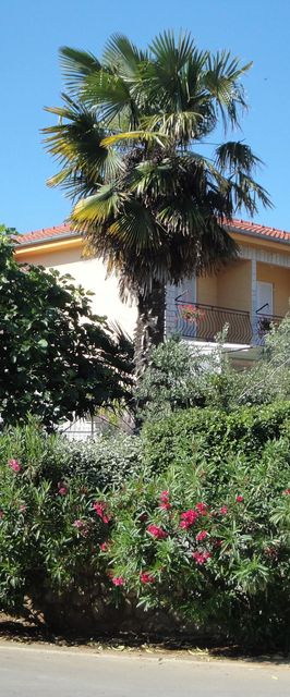 Apartments Kirinčić N. Čižići