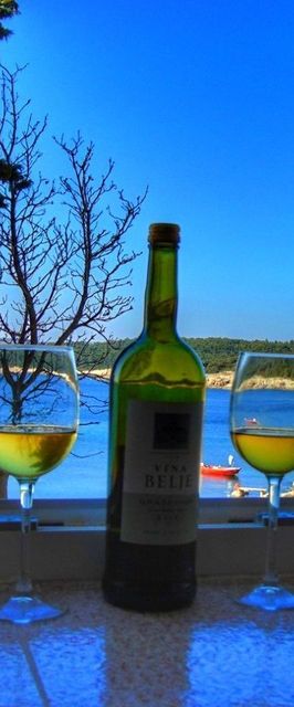 Apartment Rajka Koromačno