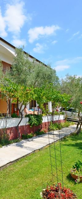 Apartments Ivanka Krk