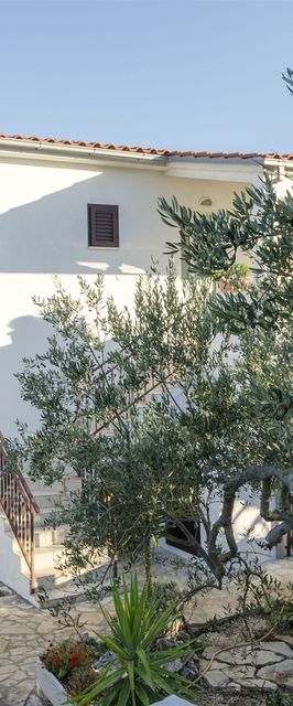 Apartments Oliva Maslinica