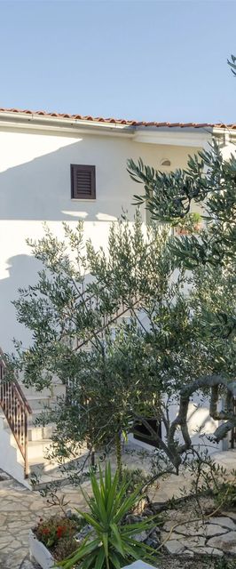 Apartments Oliva Maslinica