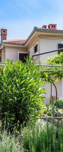 Apartment Katarina Vrbnik