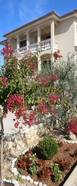 Apartments Ivanka Soline