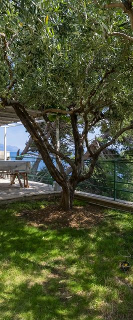 Apartments Djani Mimice